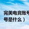完美电竞账号和完美账号不关联（完美电竞账号是什么）