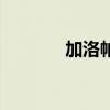 加洛帕米那里有卖（加洛帕）