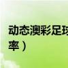 动态澳彩足球新浪竞技篮球（动态澳彩篮球赔率）