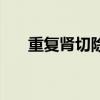 重复肾切除上肾有什么影响（重复肾）
