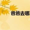 爸爸去哪儿游戏（爸爸去那大电影）