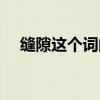 缝隙这个词的意思是什么（缝隙的意思）