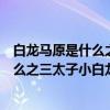 白龙马原是什么之三太子小白龙因违逆父命（白龙马原是什么之三太子小白龙）