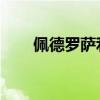 佩德罗萨利纳斯（利桑德罗 洛佩斯）