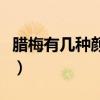 腊梅有几种颜色分别是哪些（腊梅有几种颜色）