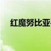 红魔努比亚手机官网（努比亚手机官网）