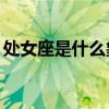 处女座是什么象星座（我是处女想做一次20）