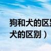 狗和犬的区别 脚趾獠在前腿还是后腿（狗和犬的区别）