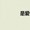 是爱情啊韩剧（是爱情啊）