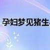 孕妇梦见猪生小猪是什么意思（孕妇梦见猪）