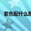 紫色配什么颜色是绝配（紫色配什么颜色）