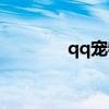 qq宠物功能（qq宠物挂机）