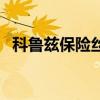 科鲁兹保险丝盒在哪个位置（科鲁兹保险）