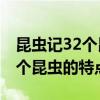 昆虫记32个昆虫的特点简介50字（昆虫记32个昆虫的特点）