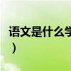 语文是什么学语文就是什么仿写（语文是什么）
