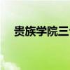 贵族学院三公主（贵族学院的双面公主）