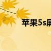 苹果5s屏幕分辨率（苹果5s屏幕）