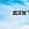 武汉张飞跃王秀芳（武汉张飞跃）