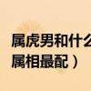 属虎男和什么属相最配、相克（属虎男和什么属相最配）