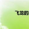 飞龙的孩子动漫（飞龙的孩子）