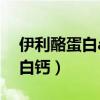 伊利酪蛋白a2有机牛奶好不好（伊分子酪蛋白钙）