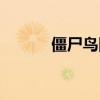 僵尸鸟图片（啄木鸟是益鸟吗）