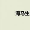 海马生宝宝视频（海马生宝宝）
