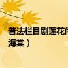 普法栏目剧莲花闹海棠十三集（社会与法普法栏目剧莲花闹海棠）