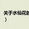 关于水仙花的诗歌有哪些(关于水仙花的诗歌) 关于水仙花的诗歌有哪些(关于水仙花的诗歌)