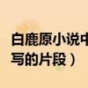 白鹿原小说中性描写原文摘录（白鹿原中性描写的片段）