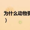 为什么动物要冬眠呢作文（为什么动物要冬眠）