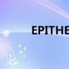 EPITHET是什么试验（epithet）