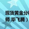 现货黄金分析师 毕飞腾简历（现货黄金分析师 毕飞腾）