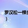 罗汉松一棵多少钱5米高（罗汉松一棵多少钱）