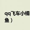 qq飞车小橘子怎么获得（qq飞车小橘子钓金鱼）