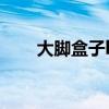 大脚盒子lol（大脚盒子战斗力查询）