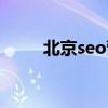 北京seo营销公司（北京seo服务）