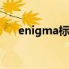 enigma标记alpha的小说（enigma）