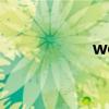 woptifree（wopti）