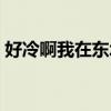好冷啊我在东北玩泥巴原版叫什么（好冷啊）