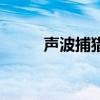 声波捕猎机美国科技（声波捕猎）