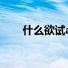 什么欲试aabc式的词语（什么欲试）
