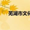 芜湖市文化馆在哪里（芜湖市文化馆）