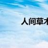 人间草木讲的是什么（人间草木）