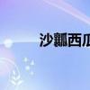 沙瓤西瓜是什么品种（沙瓤西瓜）