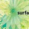 surface 2023（surface 2）