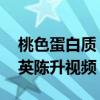 桃色蛋白质 刘若英和陈升（桃色蛋白质刘若英陈升视频）