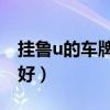 挂鲁u的车牌还是鲁b好（挂牌鲁v和鲁g哪个好）