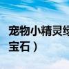 宠物小精灵绿宝石版图文攻略（宠物小精灵绿宝石）