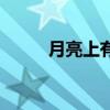月亮上有什么树（月亮上有什么）